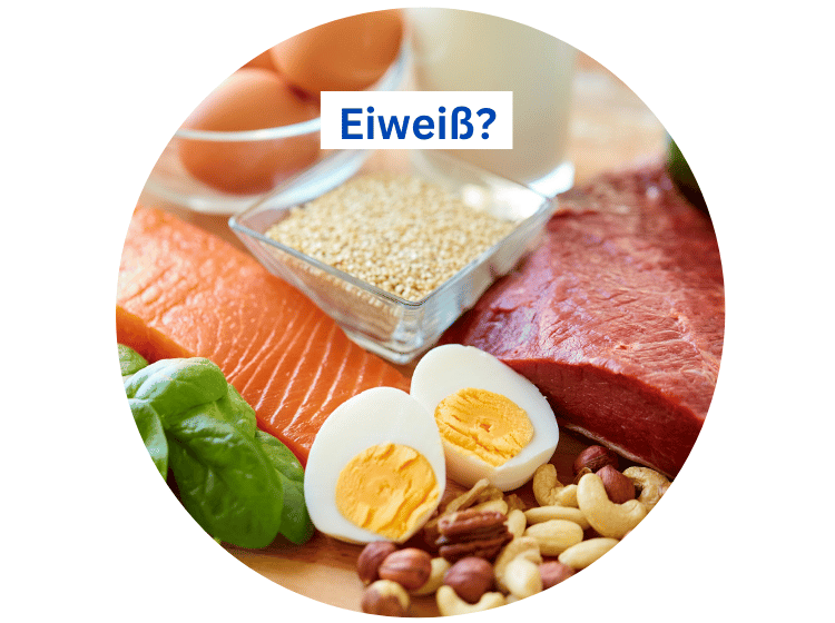Blog-Eiweiß
